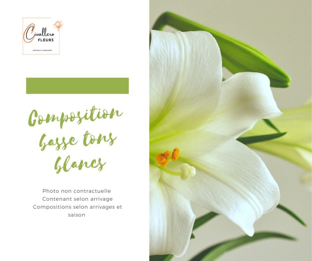 compo basse blanche.jpg