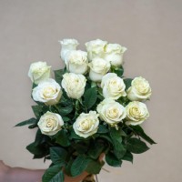 BOUQUET DE ROSES BLANCHES  (2).jpg