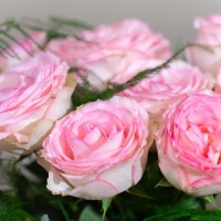 BOUQUETS DE ROSES ROSES  (2).jpg
