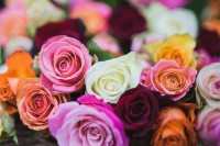 BOUQUETS DE ROSES MULTICOLORES.jpg