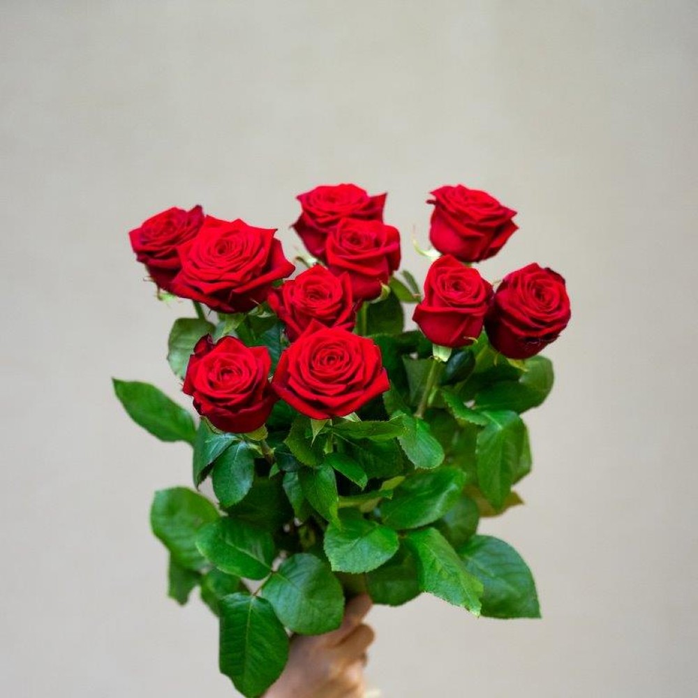 BOUQUET DE ROSES ROUGES  (2).jpg