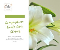 compo haute blanches.jpg